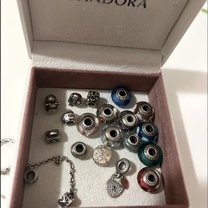 Pandora charms